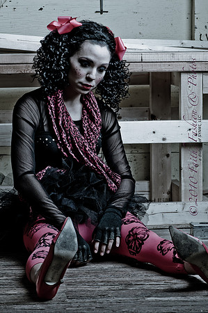 Ragdoll-8604