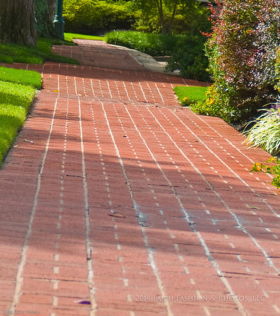 The Path I Chose